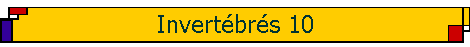 Invert�br�s 10