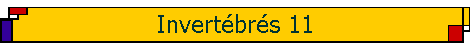 Invert�br�s 11