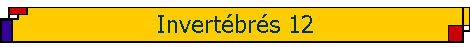 Invert�br�s 12