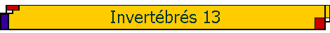 Invert�br�s 13
