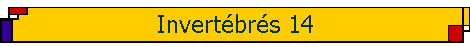 Invert�br�s 14