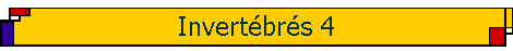 Invert�br�s 4