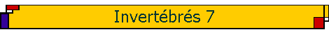 Invert�br�s 7
