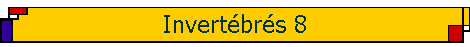 Invert�br�s 8
